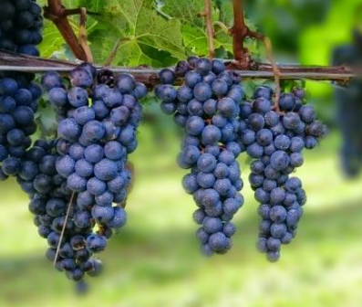 %e3%82%b9%e3%82%af%e3%83%aa%e3%83%bc%e3%83%b3%e3%82%b7%e3%83%a7%e3%83%83%e3%83%88-2026-03-09-143314