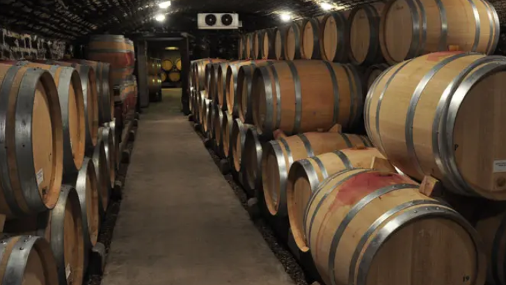 %e3%82%b9%e3%82%af%e3%83%aa%e3%83%bc%e3%83%b3%e3%82%b7%e3%83%a7%e3%83%83%e3%83%88-2026-03-09-142816