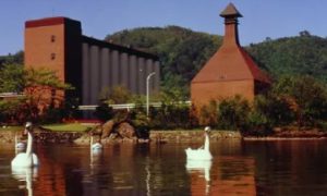 %e3%82%b9%e3%82%af%e3%83%aa%e3%83%bc%e3%83%b3%e3%82%b7%e3%83%a7%e3%83%83%e3%83%88-2026-03-13-144109