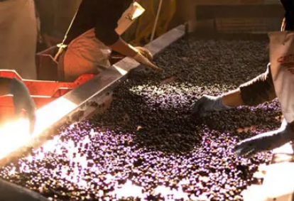 %e3%82%b9%e3%82%af%e3%83%aa%e3%83%bc%e3%83%b3%e3%82%b7%e3%83%a7%e3%83%83%e3%83%88-2026-03-07-162307