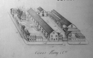 %e3%82%af%e3%83%aa%e3%83%a5%e3%83%83%e3%82%b0