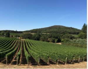 %e3%83%af%e3%83%bc%e3%83%ab%e3%83%89%e3%83%9b%e3%83%bc%e3%82%b9%e3%83%90%e3%83%ac%e3%83%bc