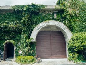 %e3%82%b0%e3%83%ac%e3%82%a4%e3%82%b9%e3%83%af%e3%82%a4%e3%83%b3