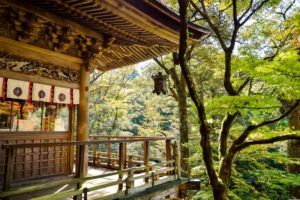shell_ghostcage-japan-1805865
